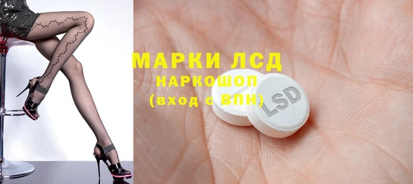 apvp Алексин