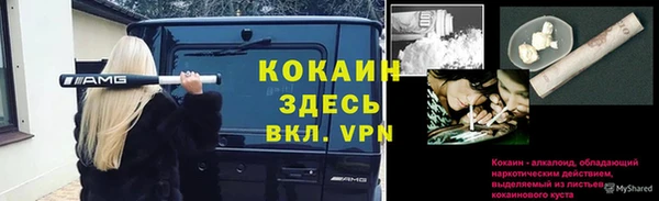 экстази Арсеньев