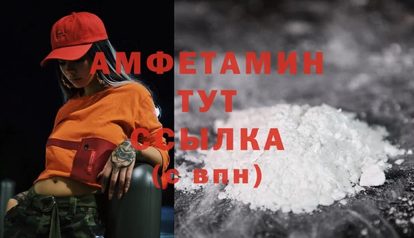 Альфа ПВП Аркадак