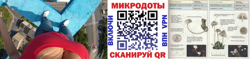 Псилоцибиновые грибы прущие грибы  Чудово 